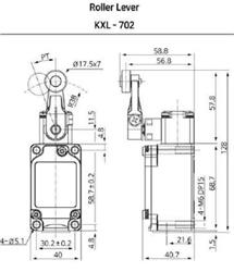 LIMITE CARRERA ZXL-702 C/LEVA+ROD.INOX. IP67 (1001