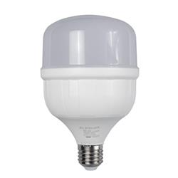 LAMPARA LED POWER BULBO 30W 6500K FRIA  E27 (20)