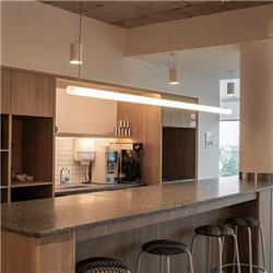 COLGANTE PUMA BLANCO LED 3000K 120CM DE LARGO