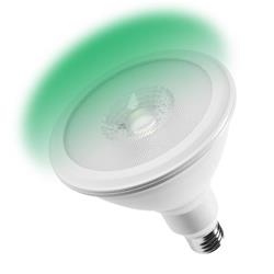 LAMPARA LED PAR 38 17W VERDE E27