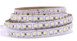 ROLLO X 5MTS.LED INT 4040 12V 12W X MT-FRIA