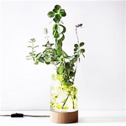 LAMPARA DE MESA VERNE CEDRO+VIDRIO LED 6W CALIDO 2700K