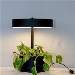 LAMPARA DE MESA BOTANICA NEGRA 4 LAMPARAS E14 
